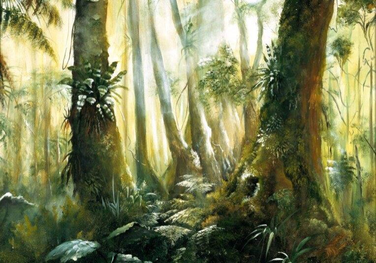 Misty Rainforest